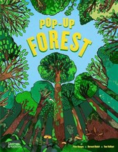 Obrazek Pop-Up Forest