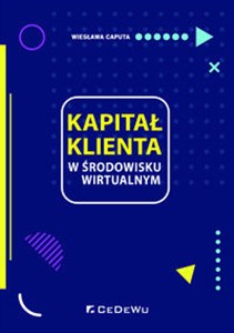 Obrazek Kapitał klienta w środowisku wirtualnym