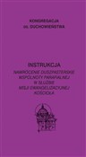 polish book : Instrukcja... - Opracowanie Zbiorowe
