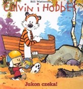 polish book : Calvin i H... - Bill Watterson