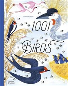 Obrazek 1001 Birds