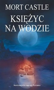 Obrazek Księżyc na wodzie