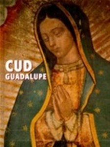 Obrazek Cud Guadalupe