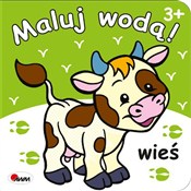 Maluj wodą... -  foreign books in polish 