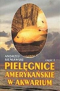 Picture of Pielęgnice amerykańskie w akwarium cz.1