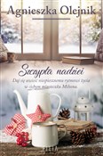 Polska książka : Szczypta n... - Agnieszka Olejnik