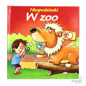 Obrazek Niespodzianki Zoo