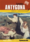 Antygona - Sofokles -  books in polish 