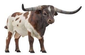 Picture of Byk długorogi