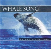 Whale Song... -  foreign books in polish 