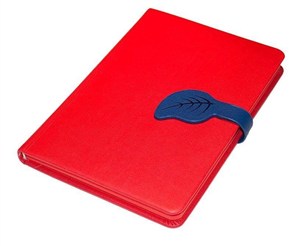 Picture of Pamiętnik B6 Mambo czerwony linia ELEFANT