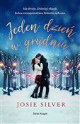 Polska książka : Jeden dzie... - Josie Silver