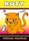 Koty. Pozn... - Opracowanie Zbiorowe -  Polish Bookstore 