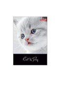 Kołozeszyt... -  Polish Bookstore 