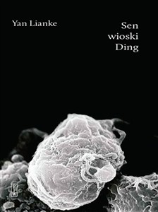 Picture of Sen wioski Ding