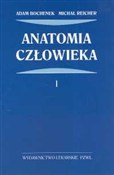Anatomia c... - Adam Bochenek, Michał Reicher -  foreign books in polish 