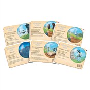 Wędrujące ... -  Polish Bookstore 