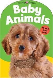 Picture of Baby Animals