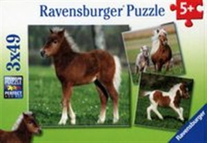 Obrazek Puzzle Przyjaźń kucyków 3x49