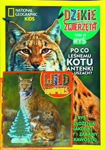 Obrazek Dzikie Zwierzęta 12 Ryś