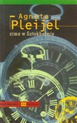 Zima w Szt... - Agneta Pleijel -  Książka z wysyłką do UK