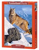 Puzzle Aus... -  Polish Bookstore 