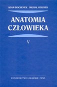 polish book : Anatomia c... - Adam Bochenek, Michał Reicher