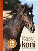 Rasy koni ... - Martin Haller -  foreign books in polish 