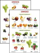 Plansza Ow... -  books from Poland