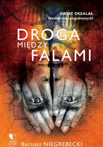 Picture of Droga między falami