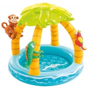 Książka : Brodzik Wy...