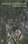 Punkt równ... - Andrzej Bobkowski -  Książka z wysyłką do UK