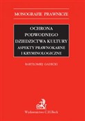 Ochrona po... - Bartłomiej Gadecki -  books from Poland