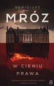 polish book : W cieniu p... - Remigiusz Mróz