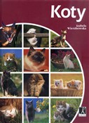 Koty - Izabela Wierzbowska -  Książka z wysyłką do UK