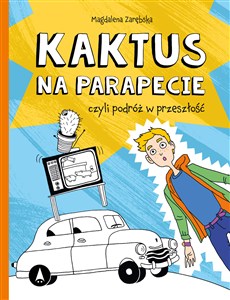 Obrazek Kaktus na parapecie