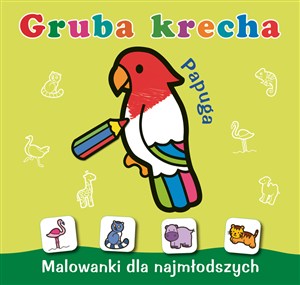 Obrazek Papuga. Gruba krecha