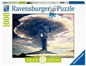 Książka : Puzzle 100...