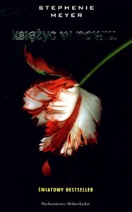 Obrazek Księżyc w nowiu