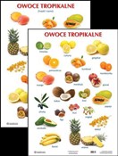 polish book : Plansza - ... - Opracowanie Zbiorowe