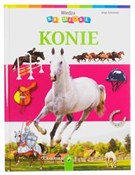 Zobacz : Wiedza na ... - Anja Schriever