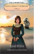 Polska książka : Ameryka - Christin Grilstad Prois