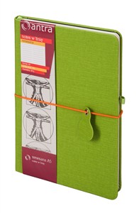 Obrazek Renesans A5 Notes linia zielony