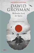 Polska książka : Wchodzi ko... - Dawid Grosman