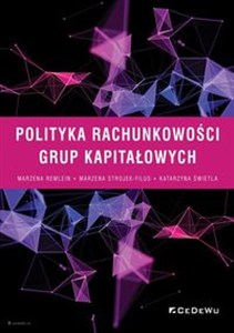 Obrazek Polityka rachunkowości grup kapitałowych