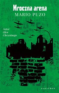 Picture of Mroczna arena