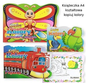 Obrazek Kopiuj kolory MIX