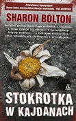 Książka : Stokrotka ... - Sharon Bolton