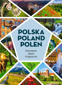 Obrazek Polska Poland Polen (Fabulo)