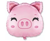 Balon foli... -  Książka z wysyłką do UK